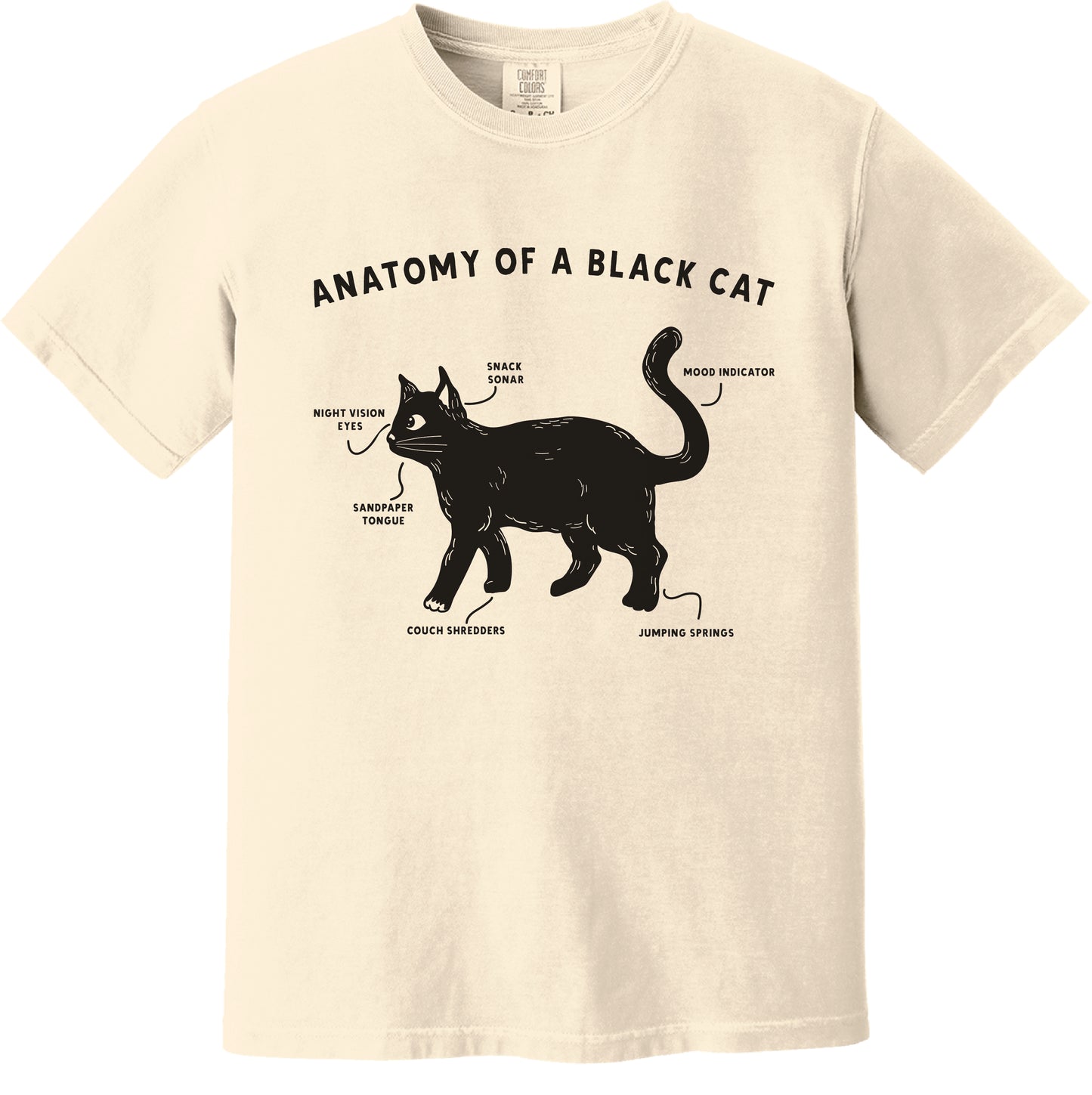 Anatomy of a Black cat - ADULTS
