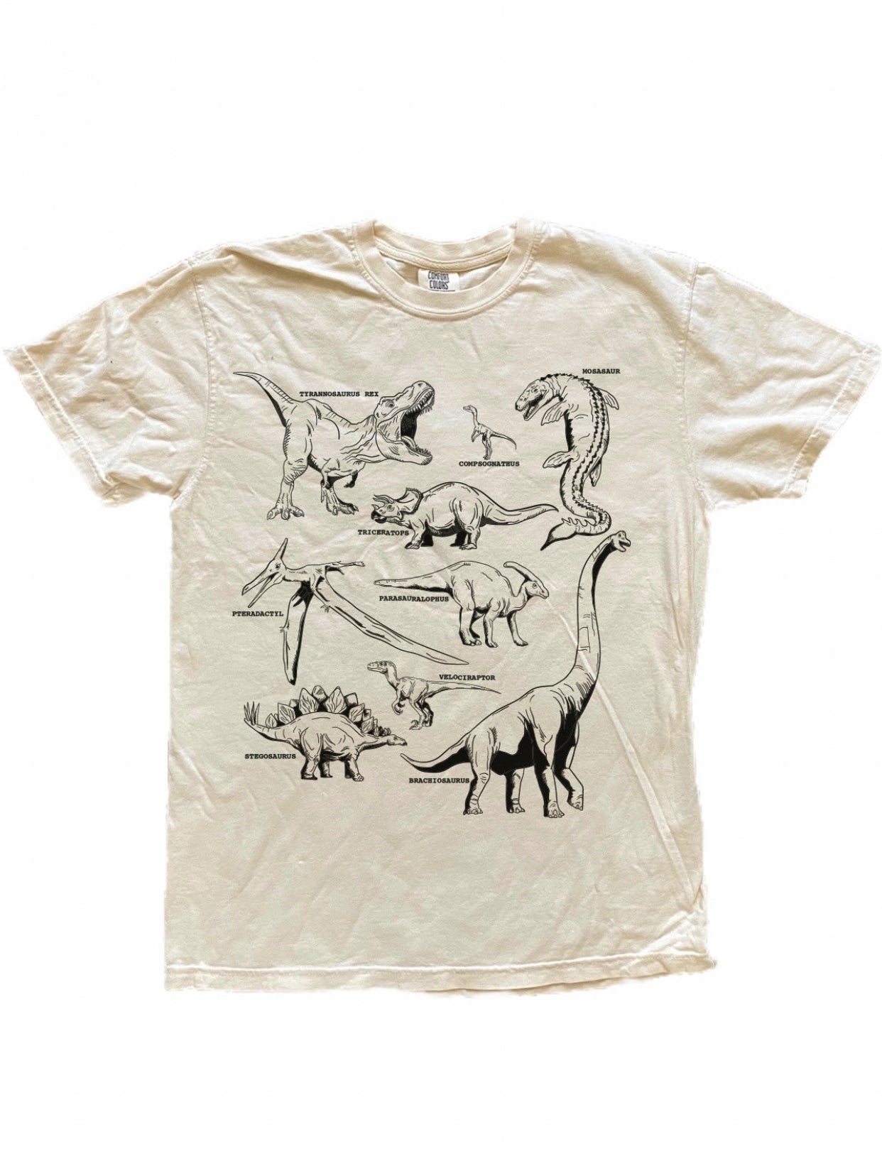 Dinosaur Adult tee