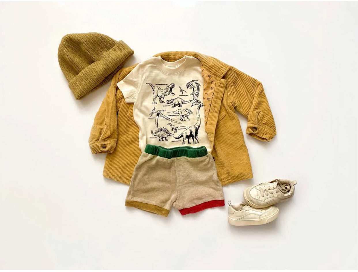Dinosaur kids tshirt