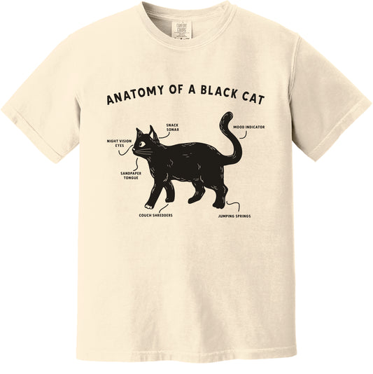 Anatomy of a Black cat - ADULTS
