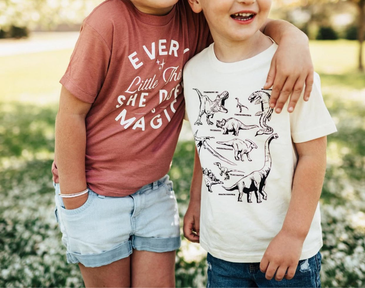 Dinosaur kids tshirt