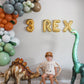 Dinosaur kids tshirt
