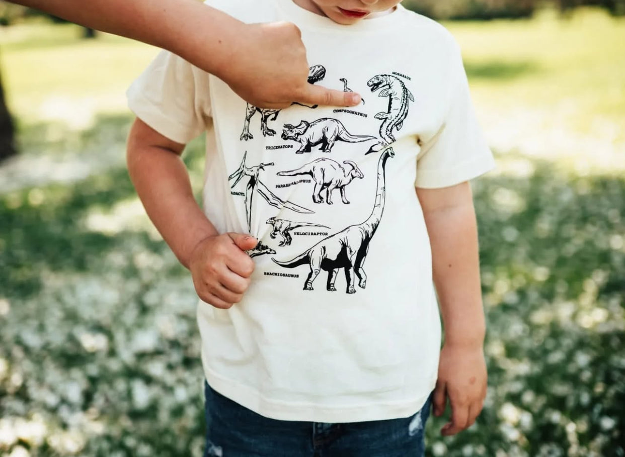 Dinosaur kids tshirt
