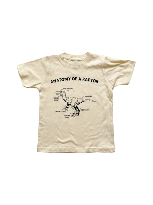 Anatomy Of A Raptor